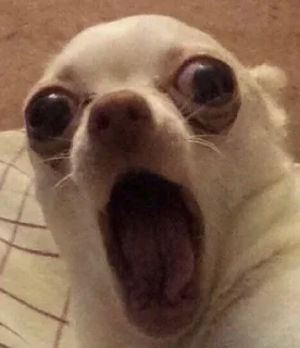 😳