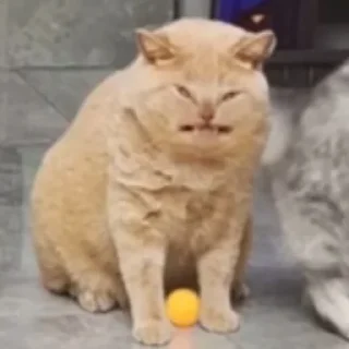 👹