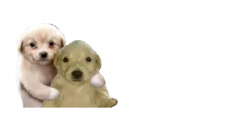 🫂