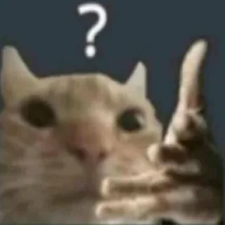 😳