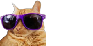 😼