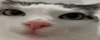 👀