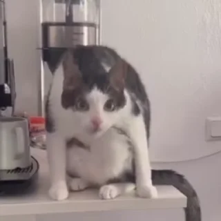 😦