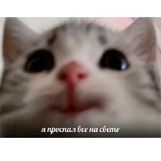 🥱