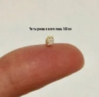🤱