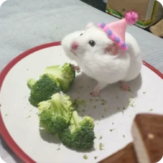 🥹
