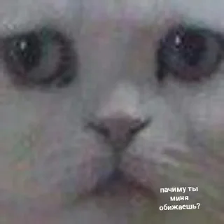 😞