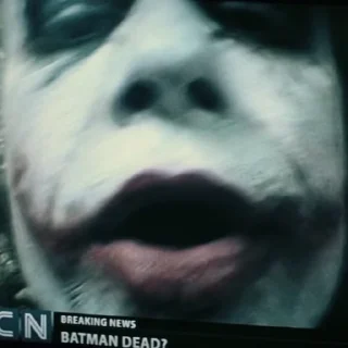🦇
