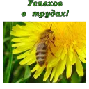 🐝