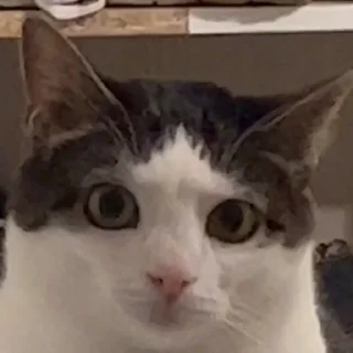 😕