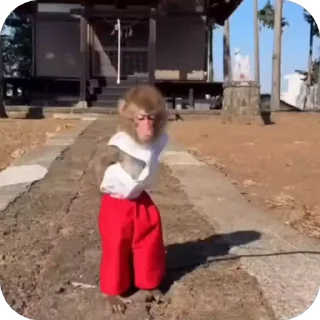 🤩