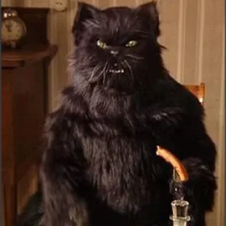 😾