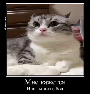 😡