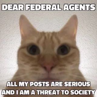 😿