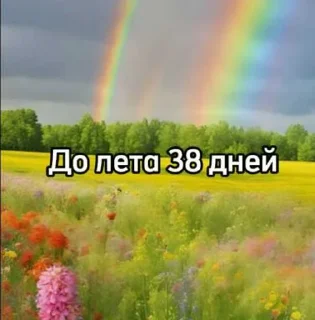 ☀️
