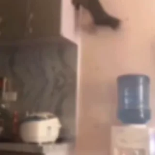 🤩