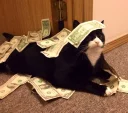 💵