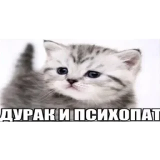 😡