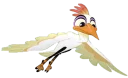 🐥