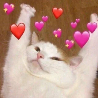 ❤️