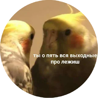 😪