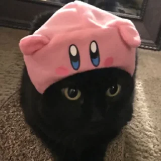😺