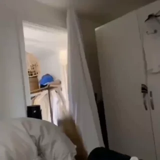 🐈‍⬛️