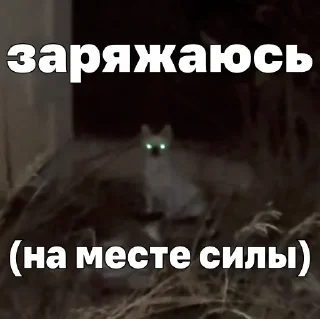 💚