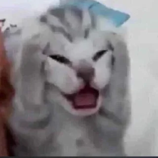 😡