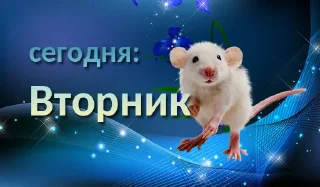 🐭
