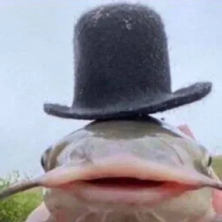 🐟