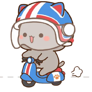 🛵