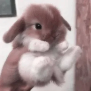 💗