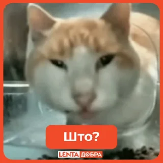 🫤