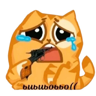 😿