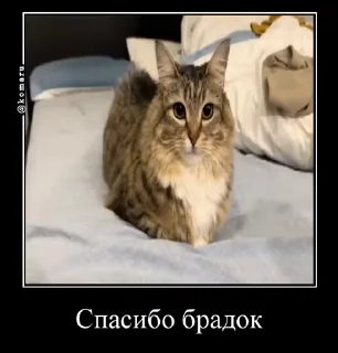 🤗