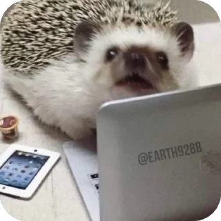 😎