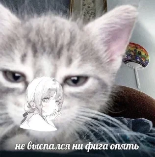 😶