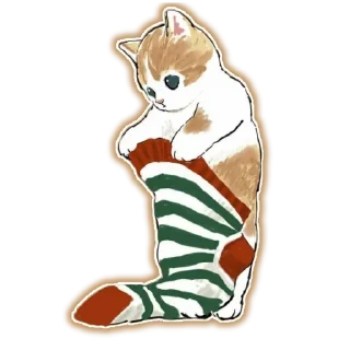 🐱
