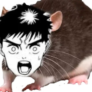 🐀