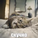 😑