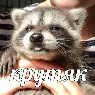 🤩
