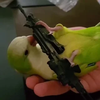 🦜