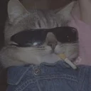 😺