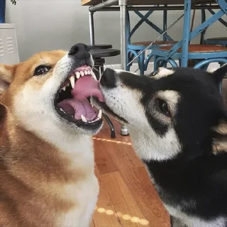❤️