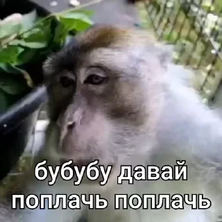 😭