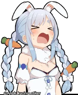 🐇