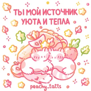 🐈
