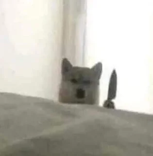 😊