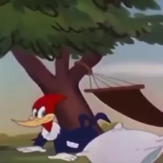 😴